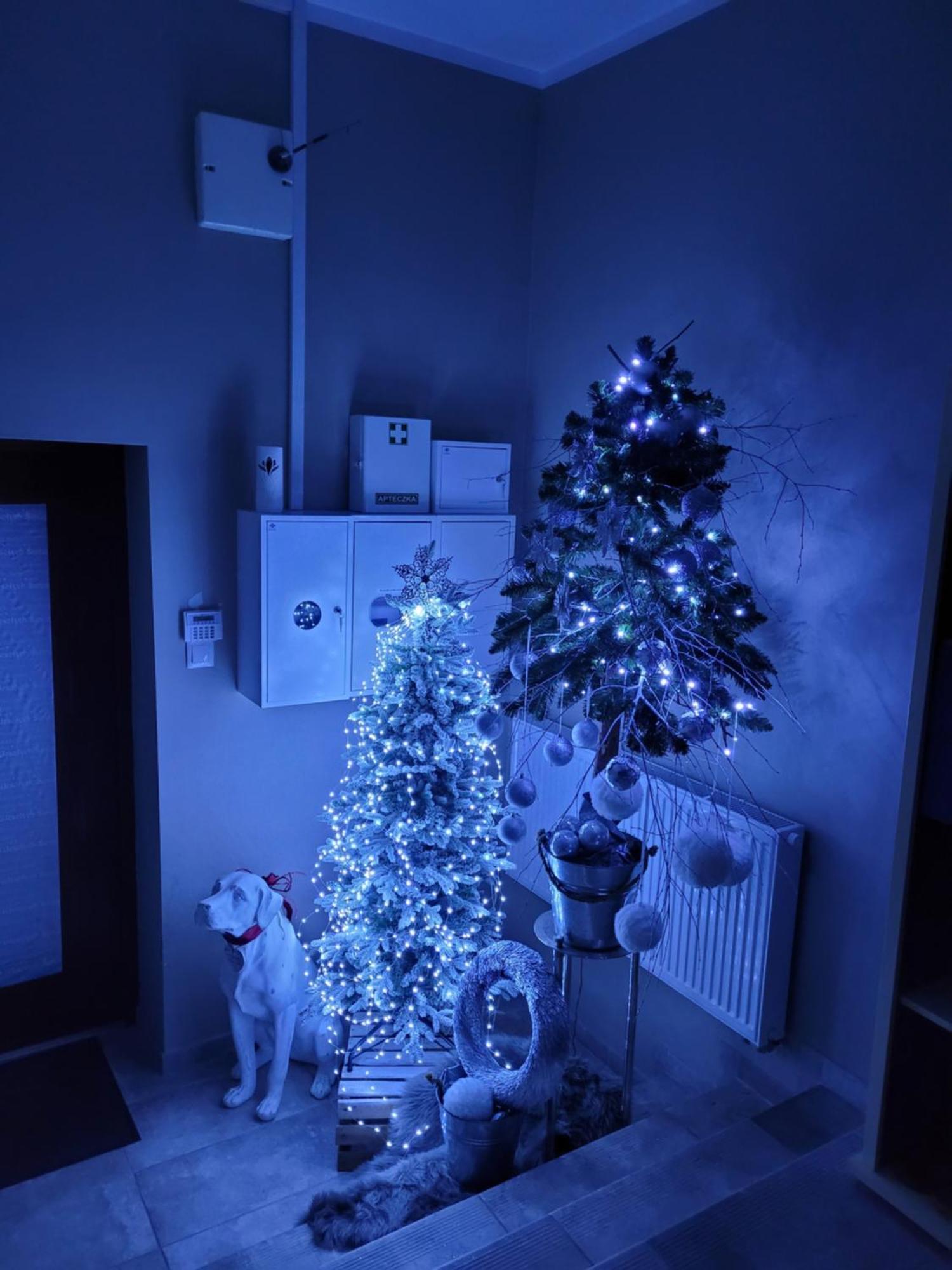 Apartament Na Warszawskiej Gorzów Wielkopolski Buitenkant foto